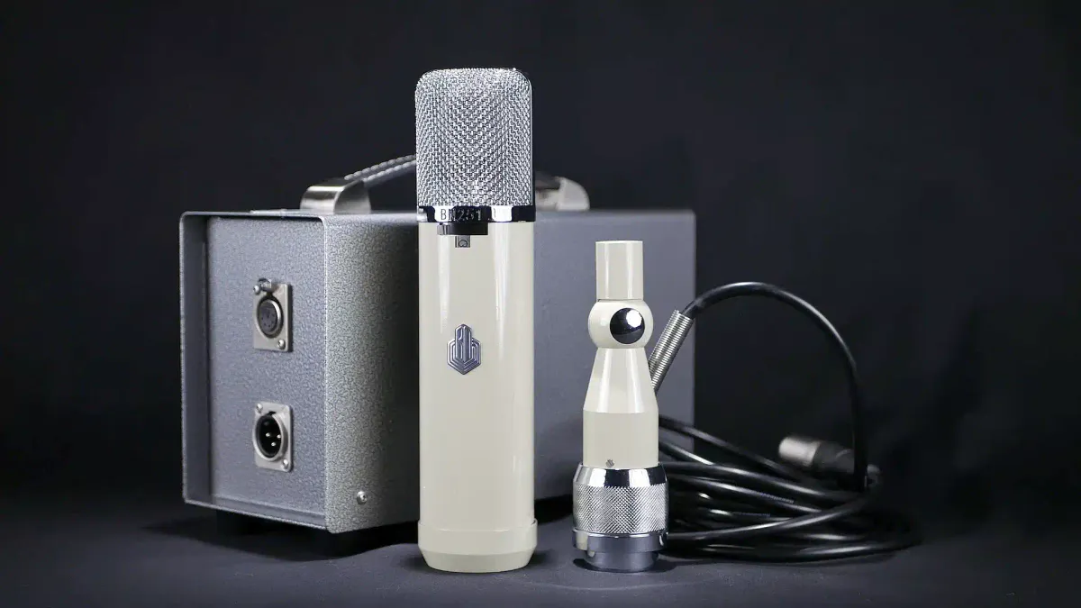 BeesNeez Pro Audio BN251 Large-diaphragm, multi-pattern tube condenser microphone 