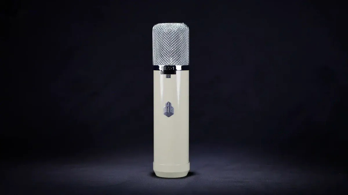 BeesNeez Pro Audio BN251 Large-diaphragm, multi-pattern tube condenser microphone 